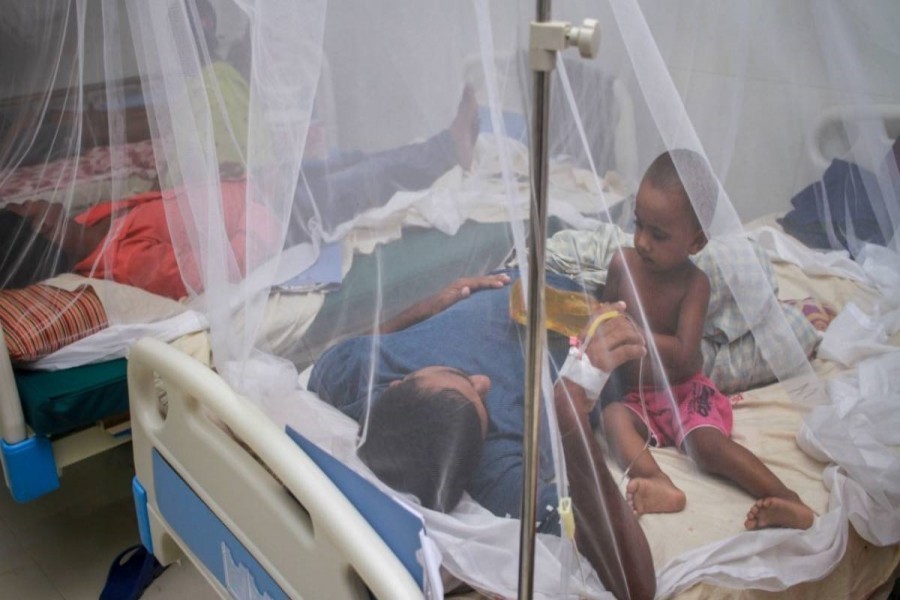 184 more hospitalised with Dengue in 24 hrs