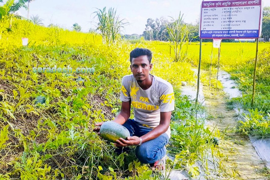 Farmer Arman Ali showing a watermelon at his demonstration plot in Badalgachhi upazila — FE Photo