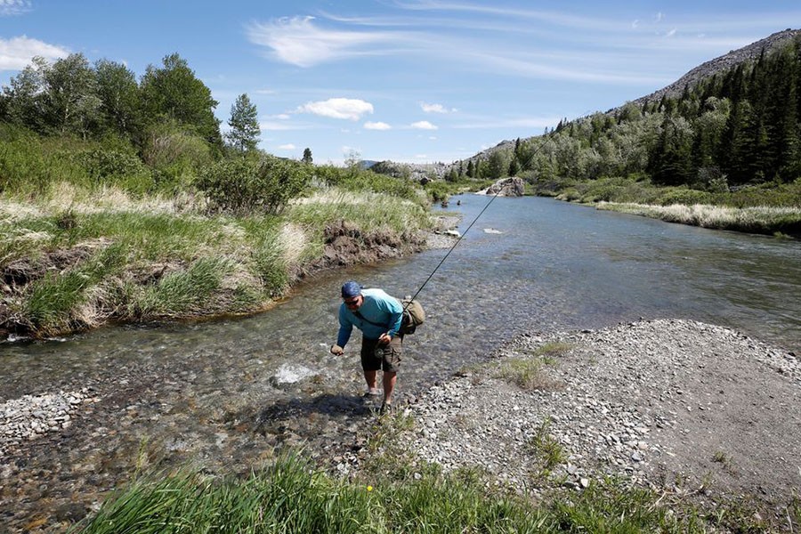 Fly fisherman Shane Olson fishes the Crowsnest River near Blairmore, Alberta, Canada June 16, 2021. Fishermen are worried that the new proposed Cabin Ridge coal mine would increase pollution in area rivers. Reuters