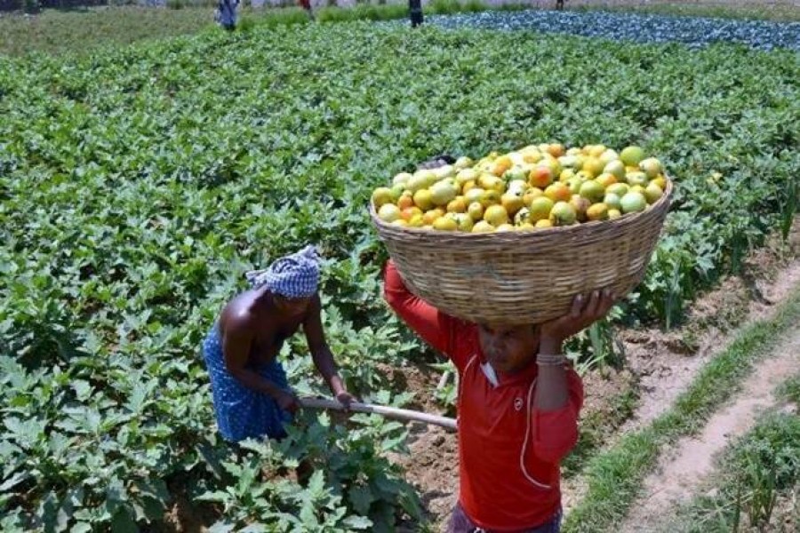 Govt plans to raise agricultural export to $2.0b  