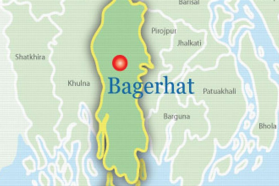 Two smugglers held with 18 deer hides in Bagerhat