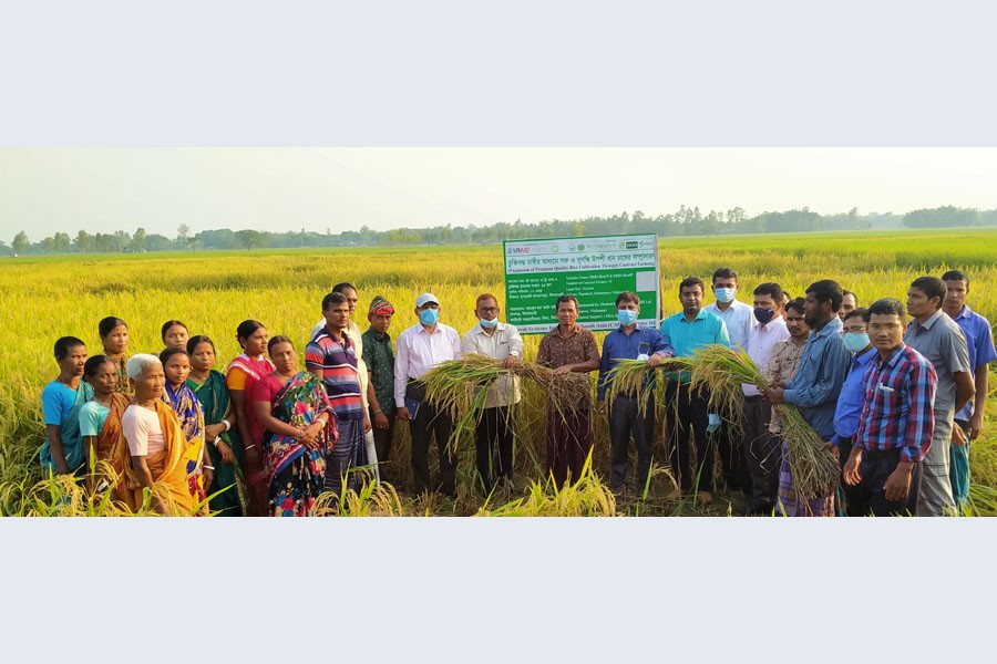 Limited number of real varieties of rice names available, consumers deceived