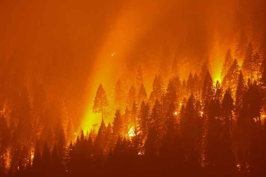 The Dixie Fire ranked as the second-largest California wildfire on record  -Reuters file photo