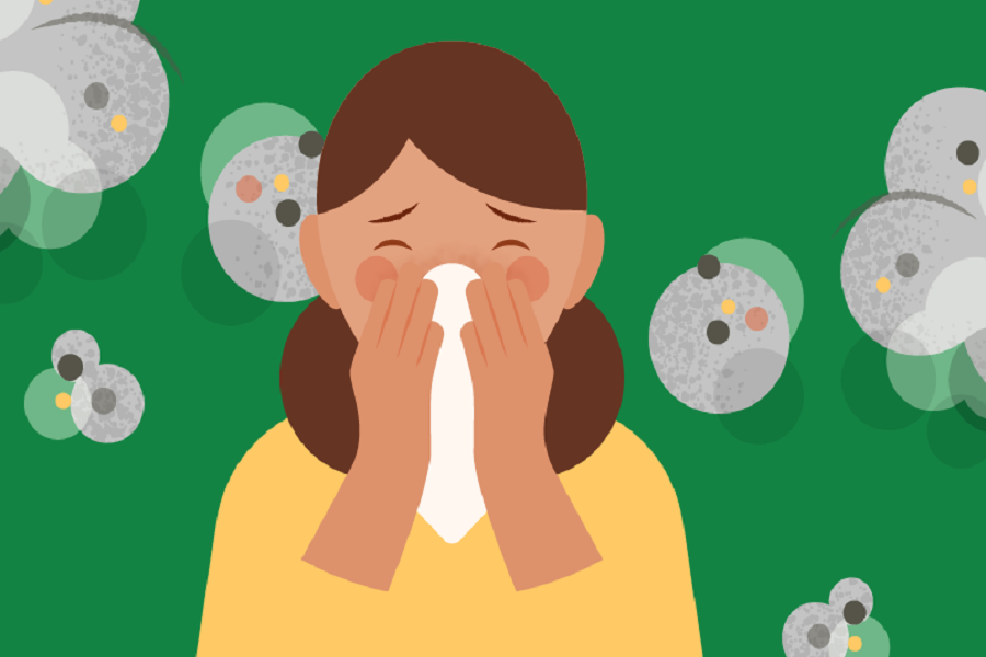 Dust allergy in Winter - Symptoms, treatment and prevention