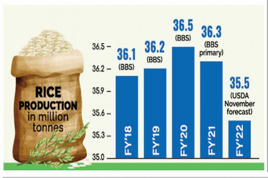 Rice yield may fall 0.8m tonnes as experts fear price-hike