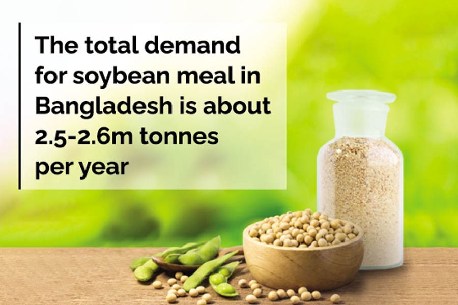 Bangladesh reviews withdrawal of export ban on soybean meal