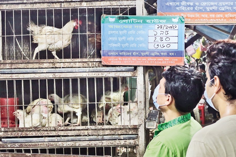 Broiler chickens, lentils become costlier at weekend