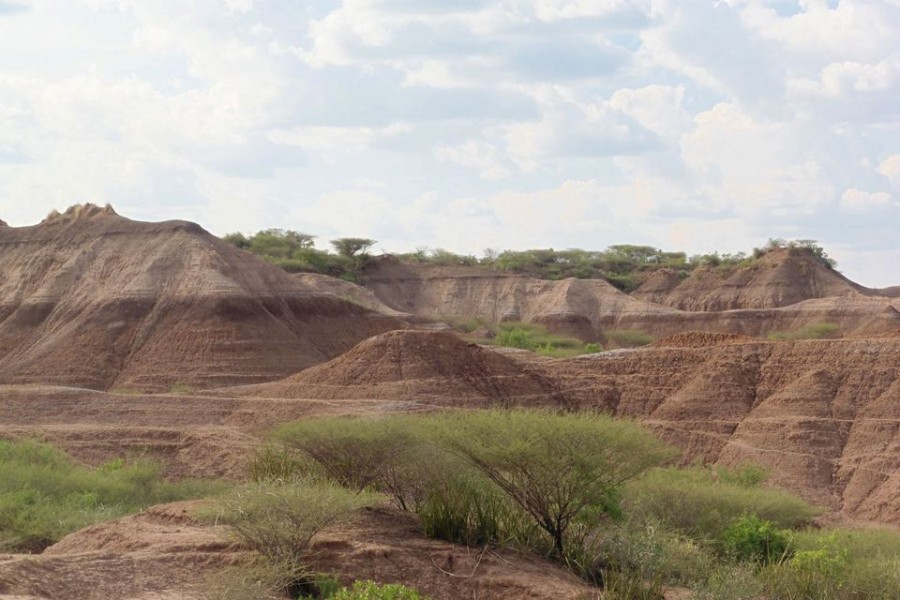 The Omo Kibish geological formation is seen in southwestern Ethiopia, near the location where Homo sapiens fossils were discovered in the late 1960s, which have now been determined to be at least 233,000 years old, in this undated handout photograph obtained by Reuters on January 12, 2022. Celine Vidal/Handout via REUTERS