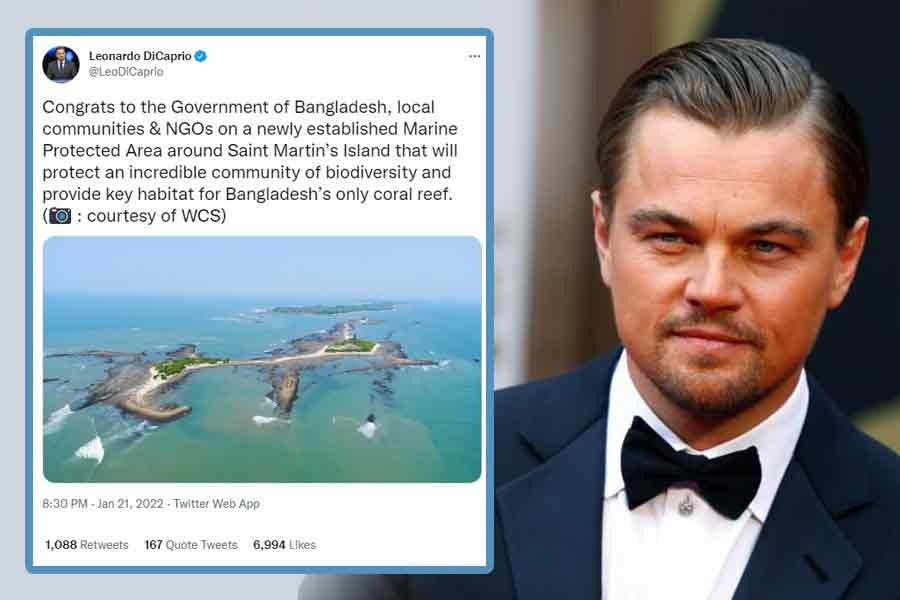 DiCaprio greets Bangladesh for marine protected area around Saint Martin