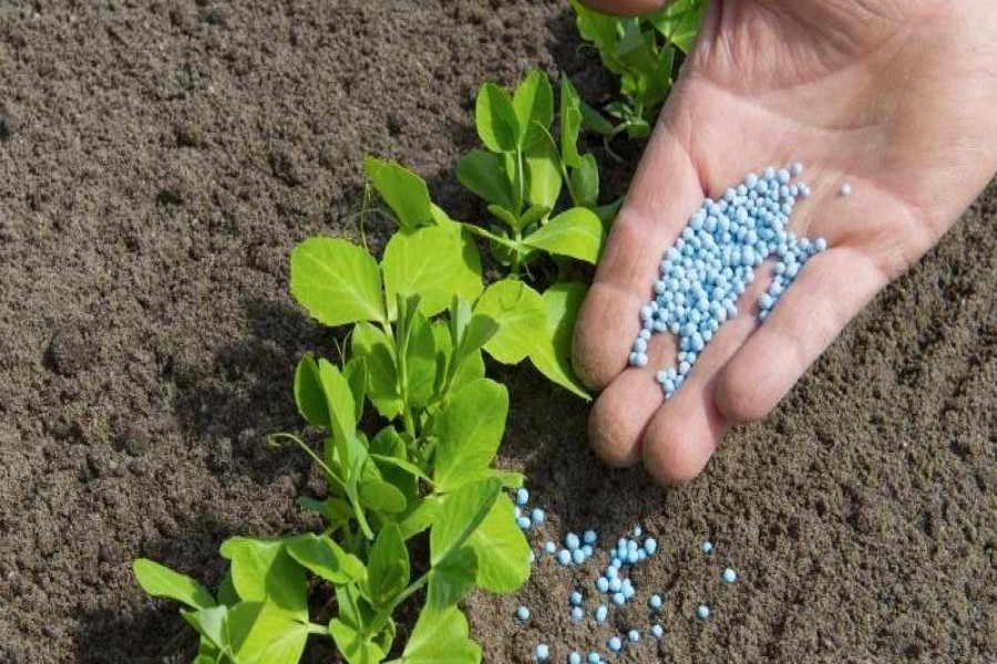 Fertiliser subsidy to be four-fold as minister promises price stability