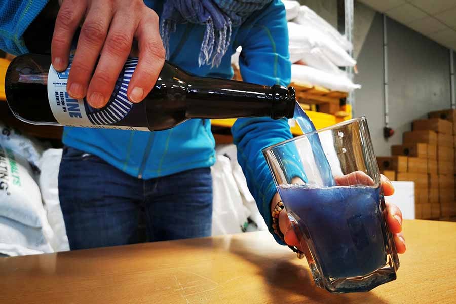 French brewers use algae to make blue beer