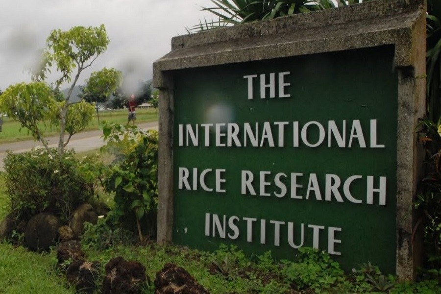 Opportunity to join the International Rice Research Institute as an Assistant Scientist