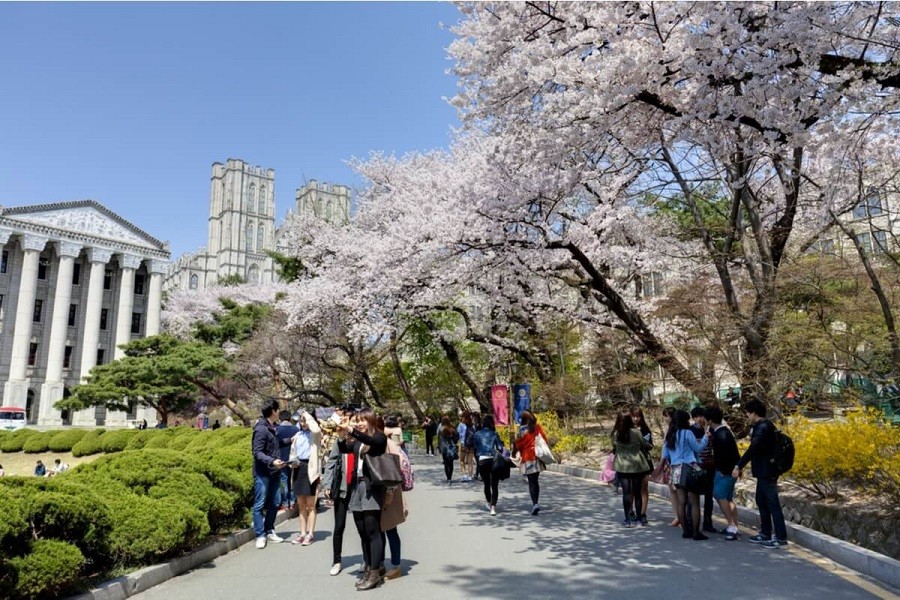 Fully funded scholarship in any South Korean university