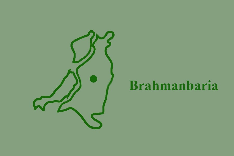 Four die in Brahmanbaria autorickshaw crash