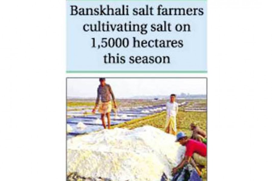 Salt farmers in Chattogram eye profit this year