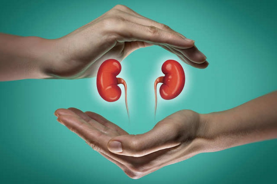 Call for ensuring kidney treatment for all