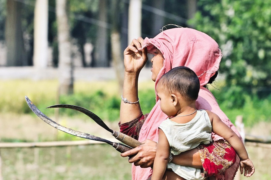 With a baby in her arms, this woman farm labourer heads for a nearby field carrying farming tools at Dhamrai of Savar recently — FE photo by Shafiqul Alam