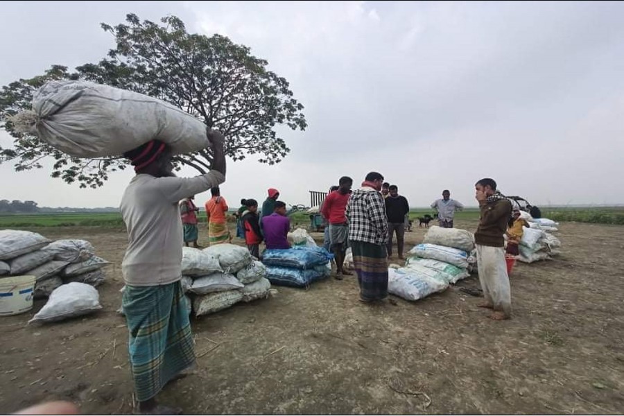 Fortune smiles on Kendua cucumber growers