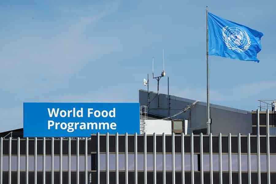 Food supply chains in Ukraine collapsing, says WFP official