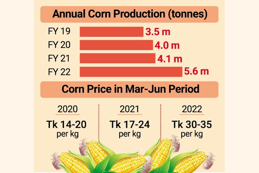 Feed millers rue as corn prices now fly high