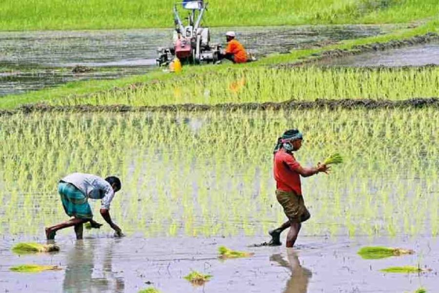 Another farmer dies after suicide bid ‘for irrigation water’ 