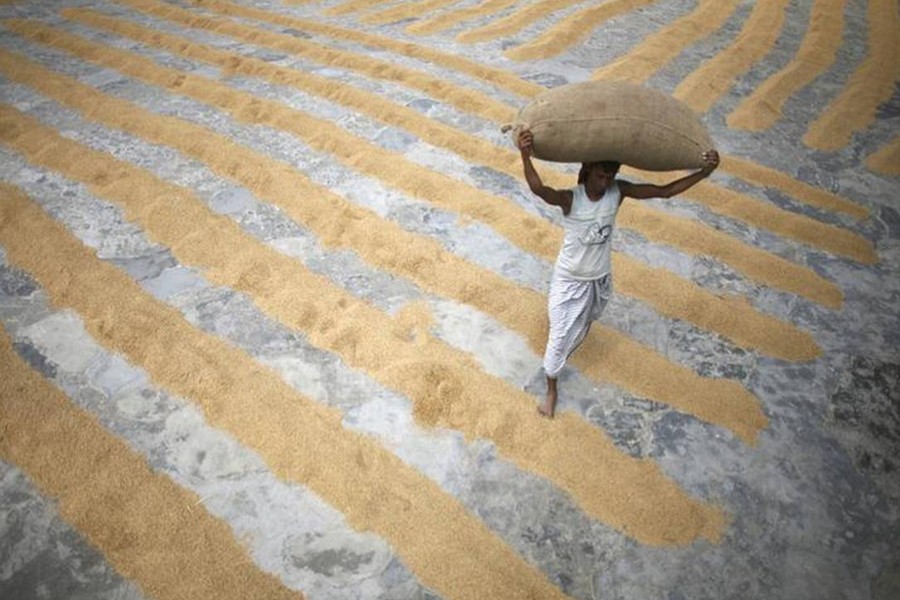 A worker carries a sack of rice at a farm in Dhaka on April 21, 2009  — Reuters/Files