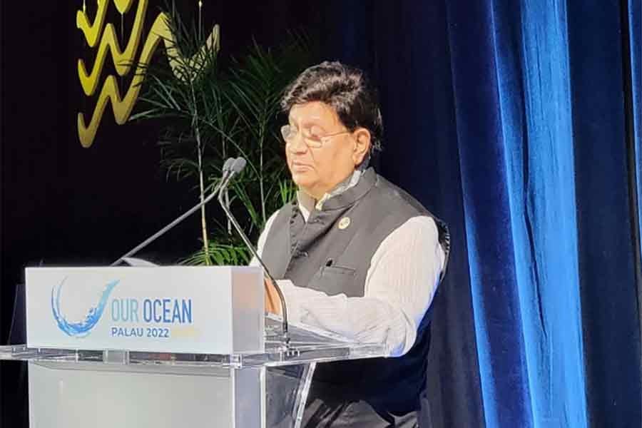 Foreign minister calls for protecting oceans, ecosystems to save planet