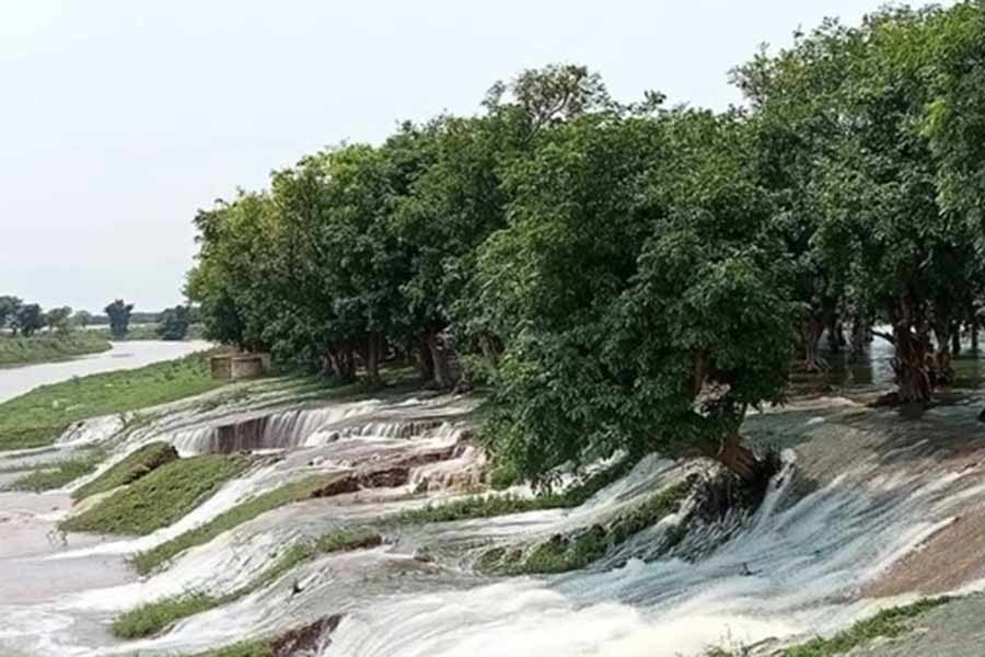 Dam breach threatens crops in a vast swathe of land in Sunamganj