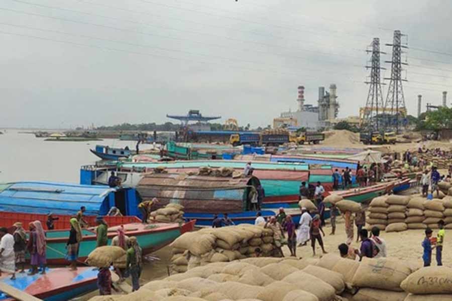 Paddy prices fall in haor region as floods force early harvest