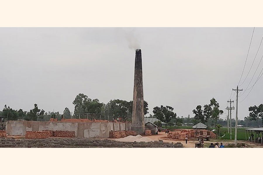 Panchagarh farmers worried about crops for toxic smoke from brick kilns