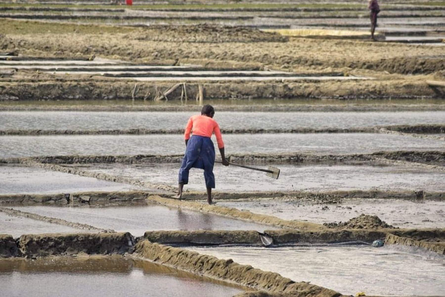 A farmer stockpiling salt in a saltpan in Teknaf — FE Photo