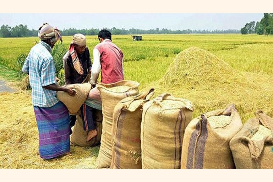 Paddy procurement begins across country