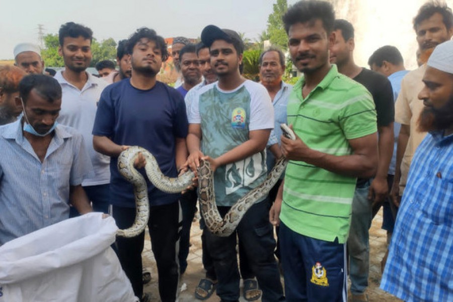 Members of the Snake Rescue Team Bangladesh, pictured here with local residents after rescuing a snake in Bangladesh’s southeastern city of Chattogram. (Photo courtesy: Snake Rescue Team Bangladesh)