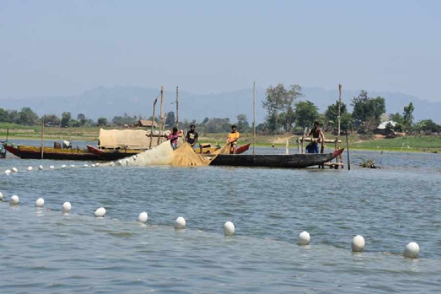 Kaptai fishing ban: Govt allocates 998.12 tonnes of rice for fishermen