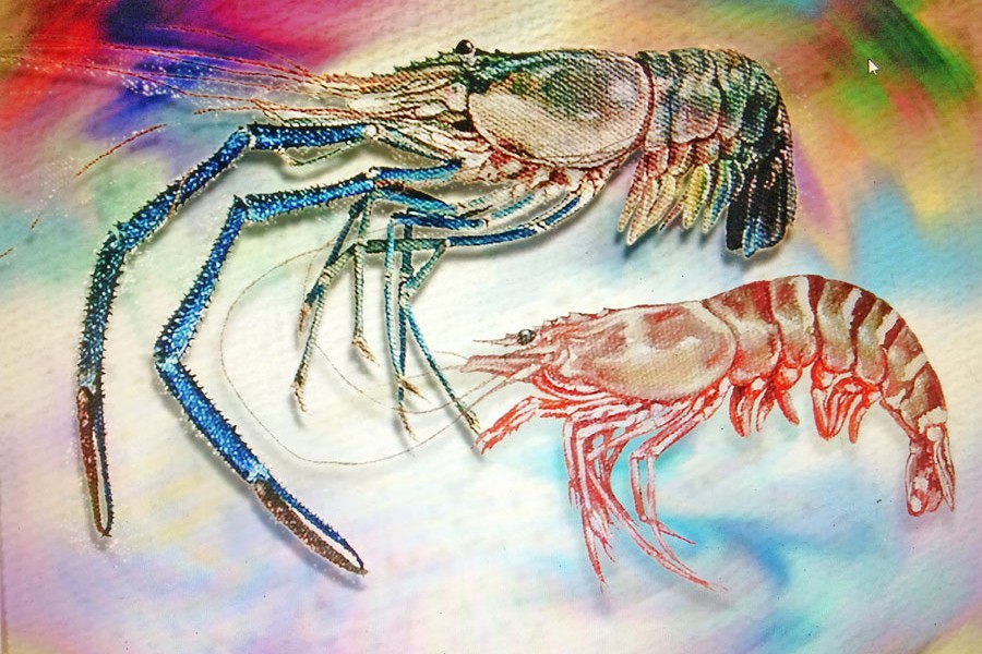 Shrimp and prawn prospect in BD
