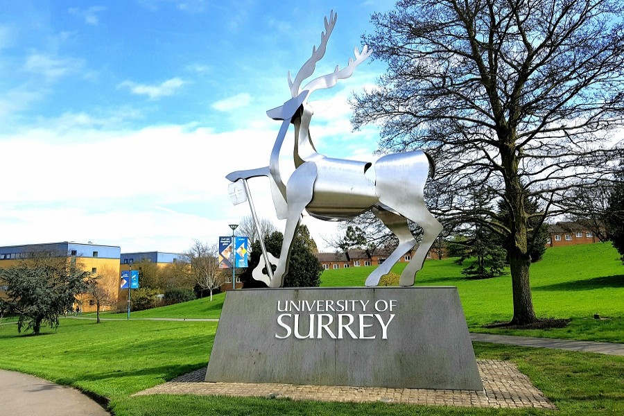 Fully-Funded Physics PhD Scholarship at the University of Surrey
