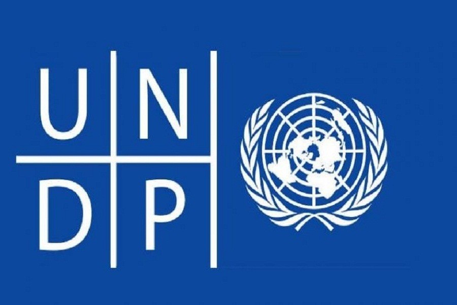 UNDP needs a National Consultant