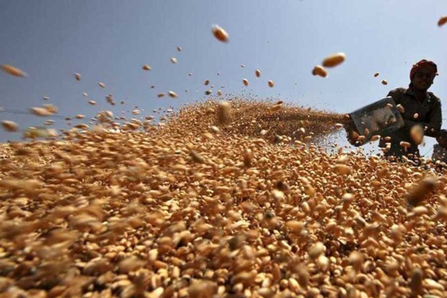 India may allow exports of 1.2m tonnes of wheat soon