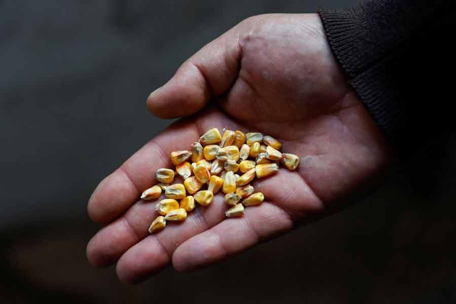 Turkey struggles to push Russia, Ukraine into grain deal to ease food crisis