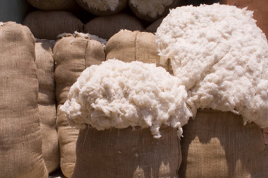 Brazil trying to raise cotton export to Bangladesh