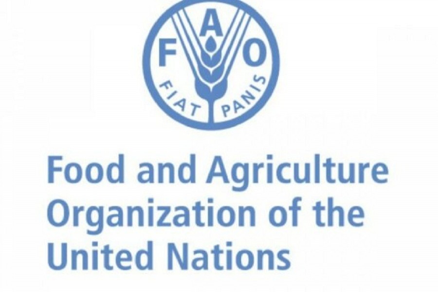 Opportunity to join FAO as Knowledge and Information Management Assistant