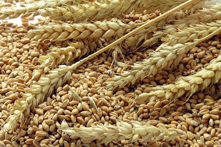 Govt moves to ensure Russian wheat supply