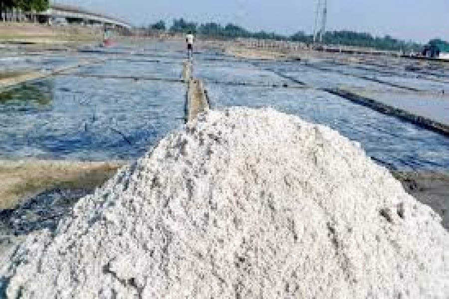 Cox's Bazar traders urge govt to allow salt import