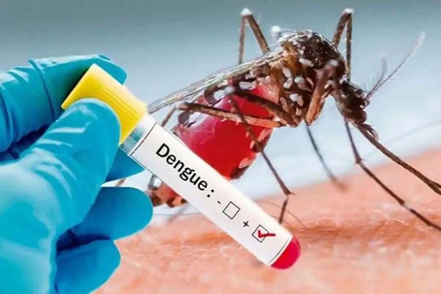 Seven dengue patients hospitalised in city 