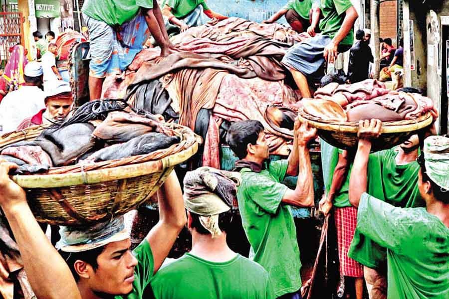 Workers busy unloading and carrying rawhide of sacrificial animals to warehouses at Posta in Lalbagh area of Dhaka city for preservation on the day of Eid-ul-Azha last year —FE file photo