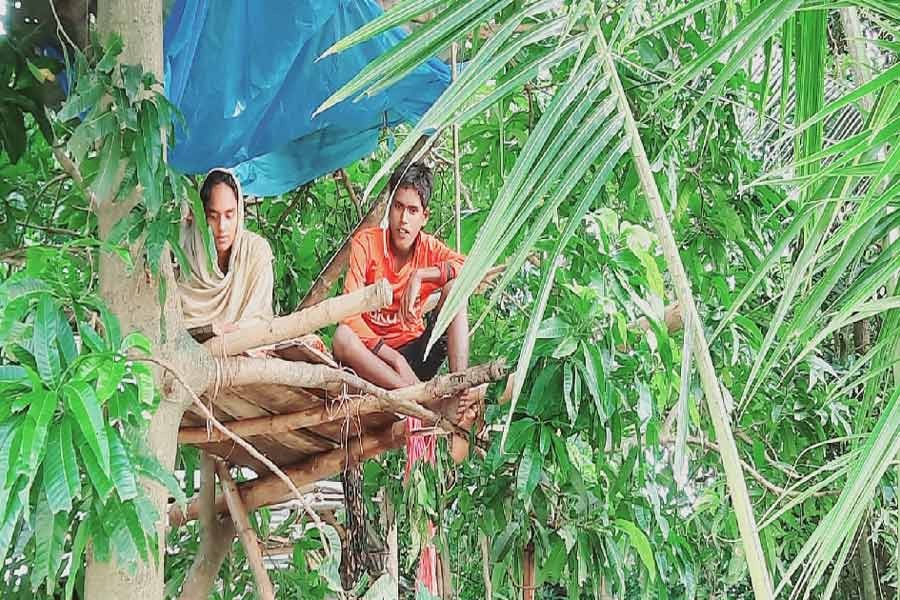 Orphan siblings spend 17 days on a tree as flood washes away their house
