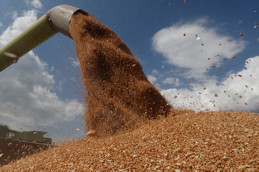 A combine harvester loads a truck with wheat in a field — Reuters/Files