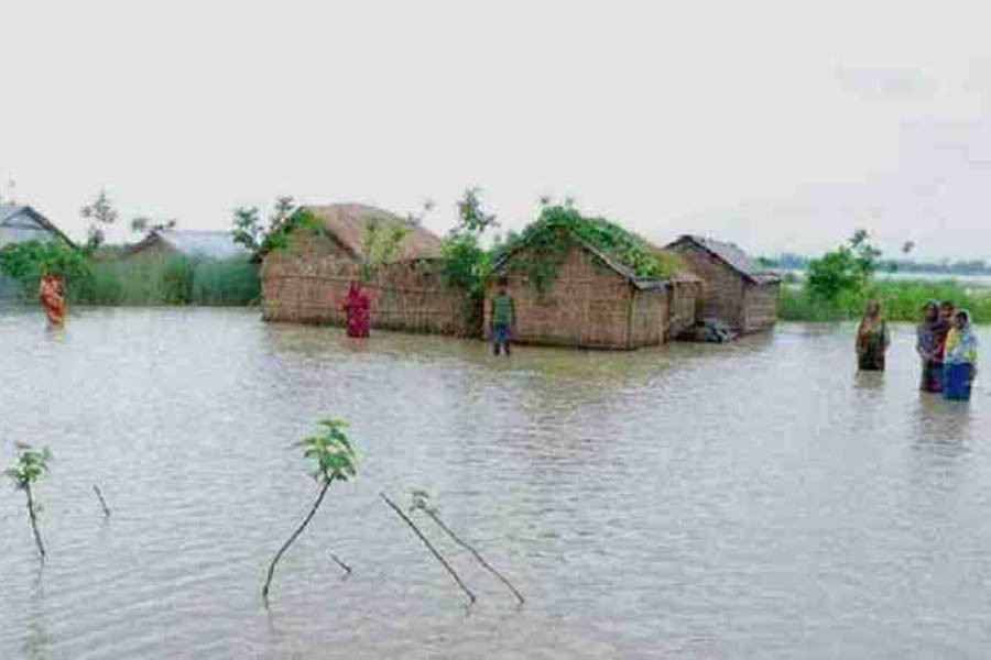 Flashfloods damage crops worth Tk 1.27b in Kurigram