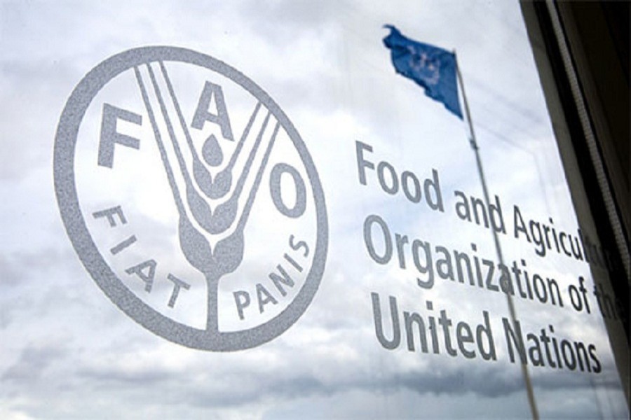 Join FAO as Office Coordination Assistant