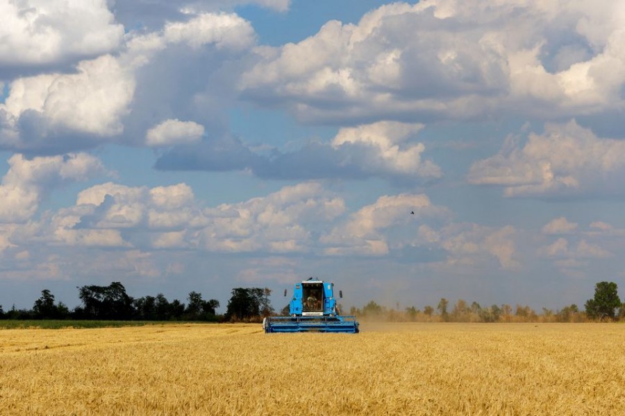Farmers harvest wheat in Kherson region - Reuters photo